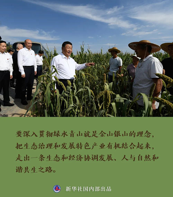 長圖3_副本.jpg